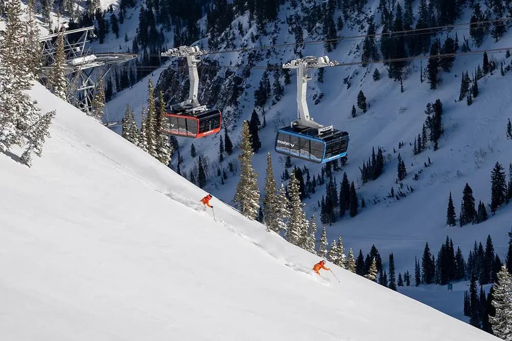 Snowbird ski resort