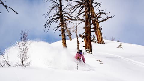 AJ Cutler skis on a powder day at Solitude Mountain Resort.