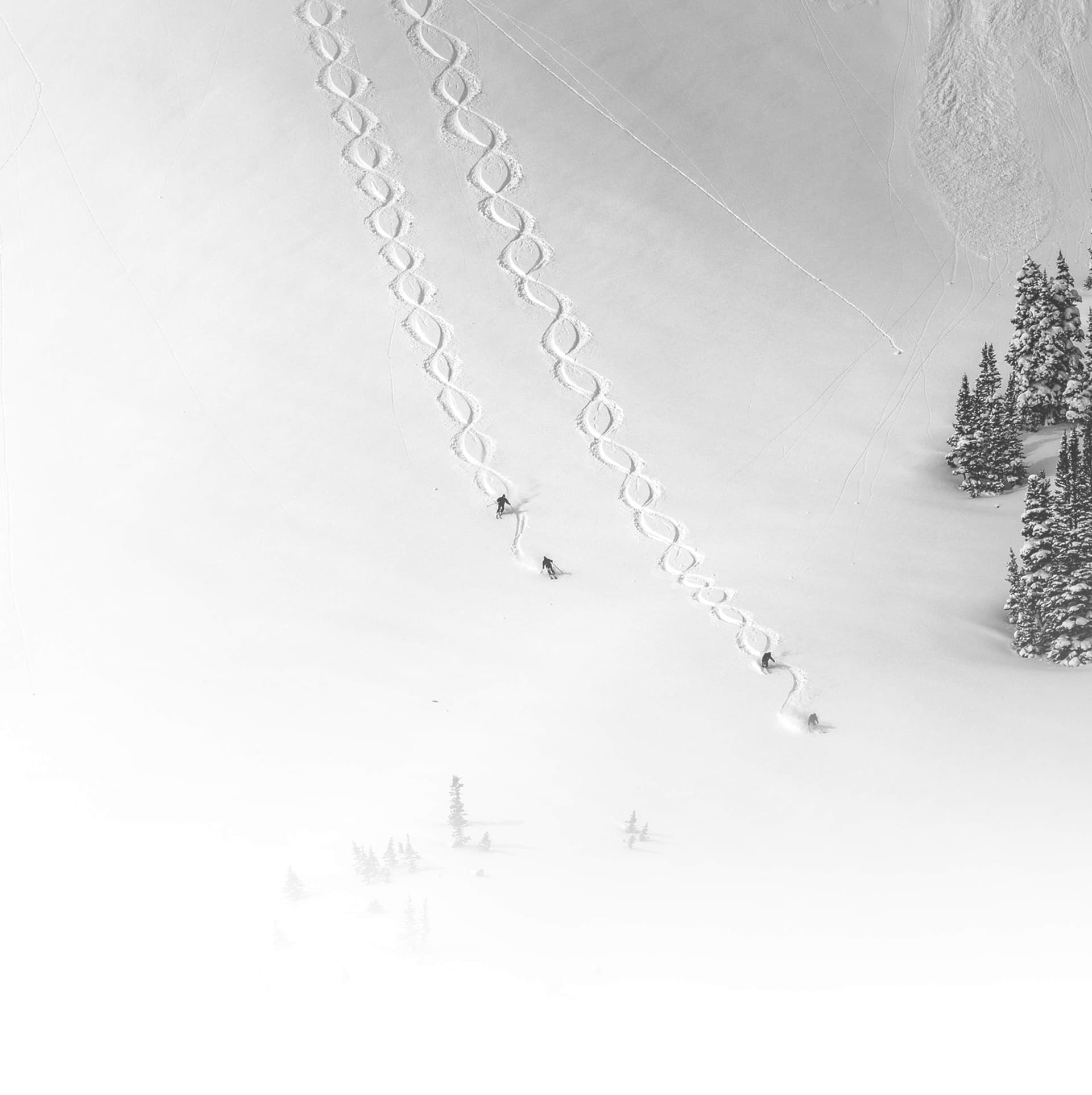 Alta ski resort