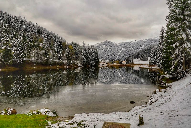 User photo of Morgins