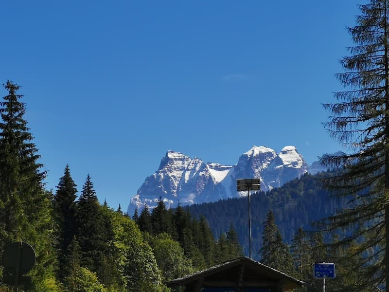 User photo of Morgins