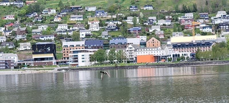 User photo of Voss - unknown