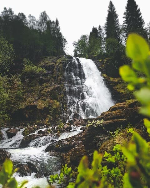 User photo of Voss
