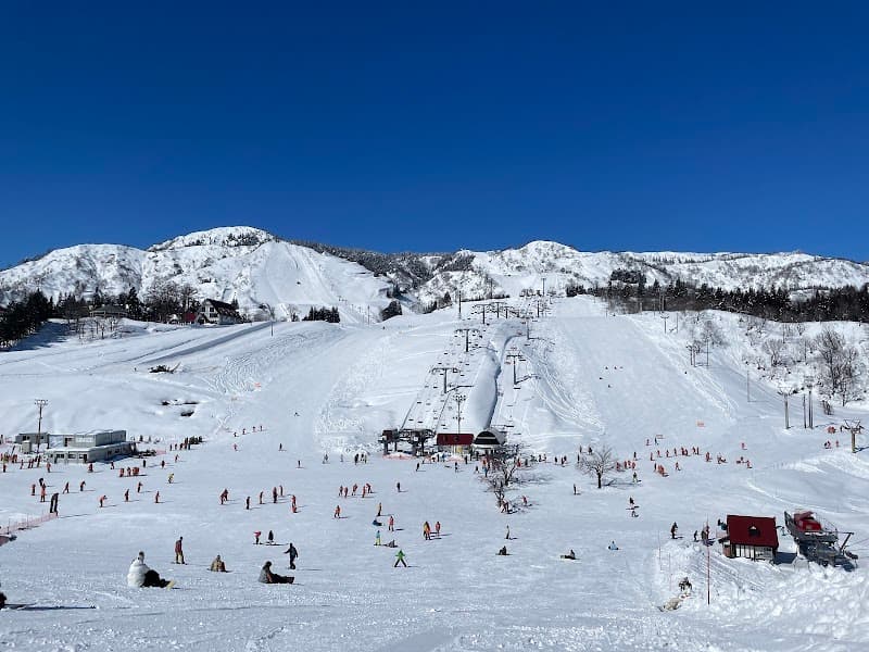 User photo of Joetsu Kokusai