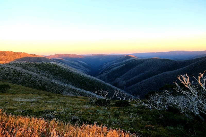 User photo of Mount Hotham