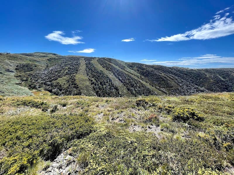 User photo of Mount Hotham