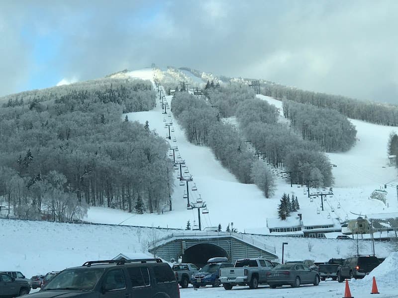 User photo of Bromley