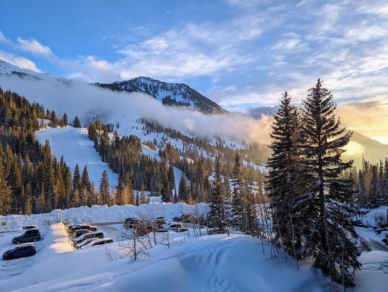 User photo of Snowbird