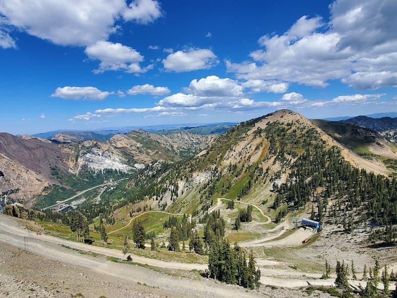 User photo of Snowbird