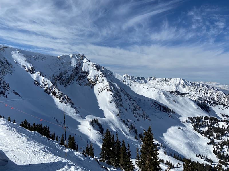 User photo of Snowbird