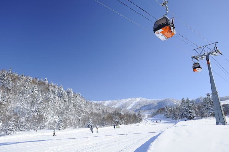 User photo of Kiroro - unknown