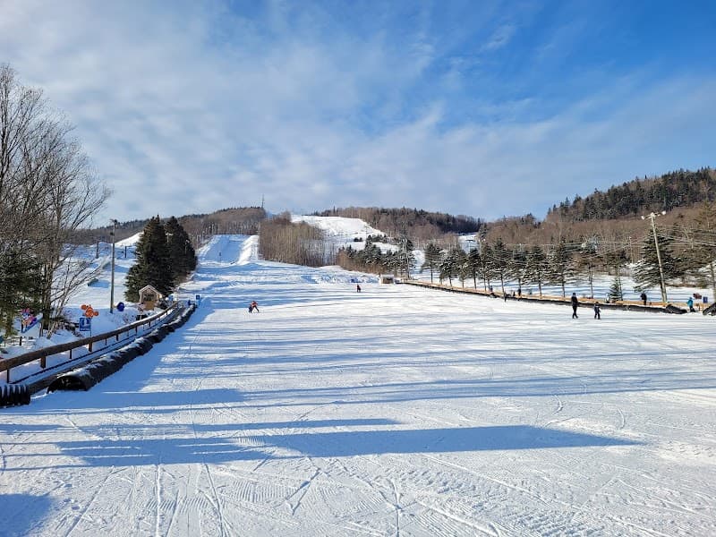 User photo of Stoneham
