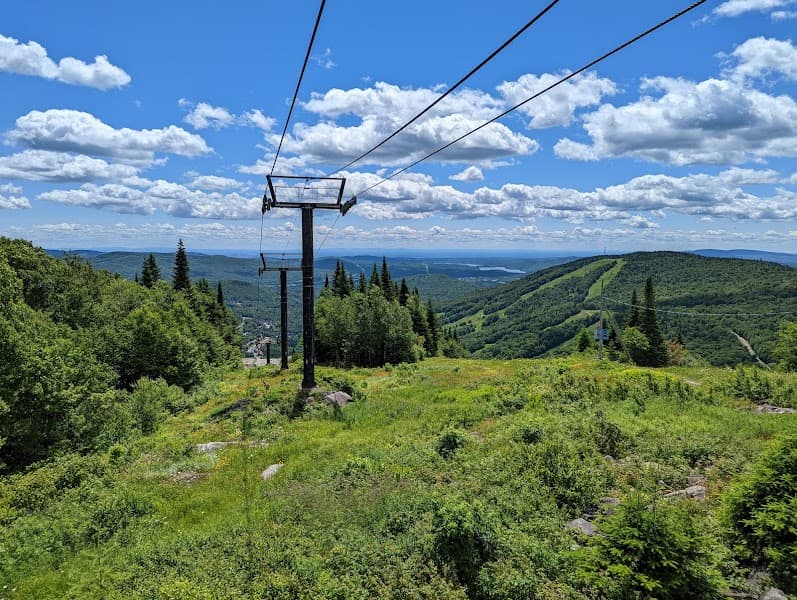 User photo of Stoneham