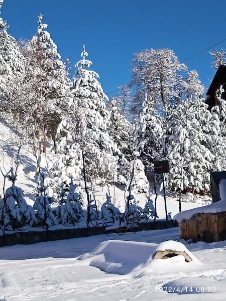 User photo of Bakuriani