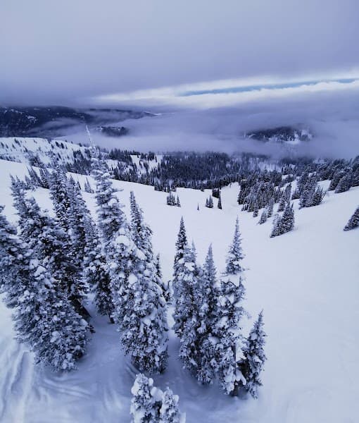 User photo of Grand Targhee