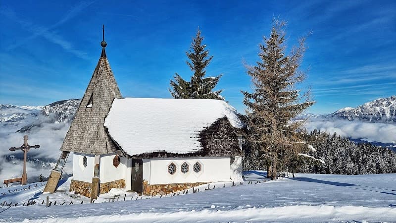 User photo of Söll