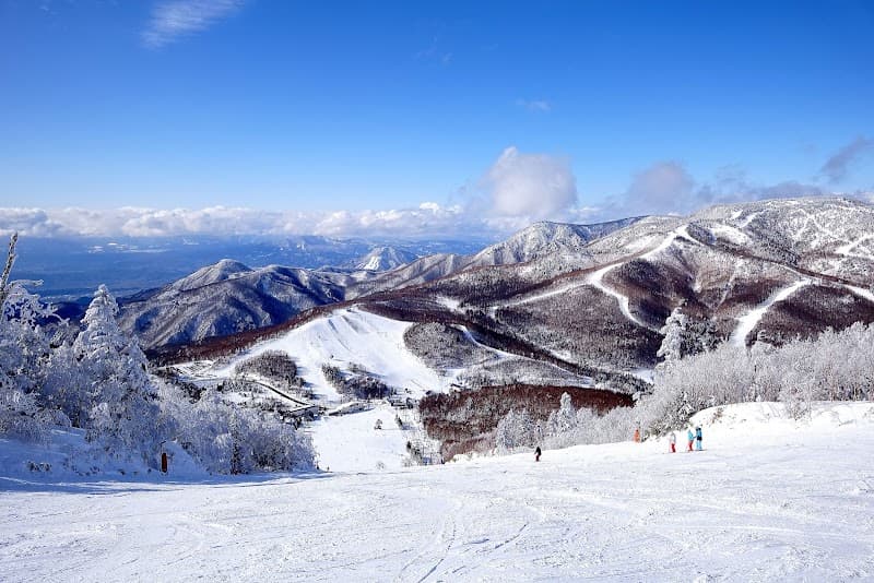 User photo of Shiga Kogen