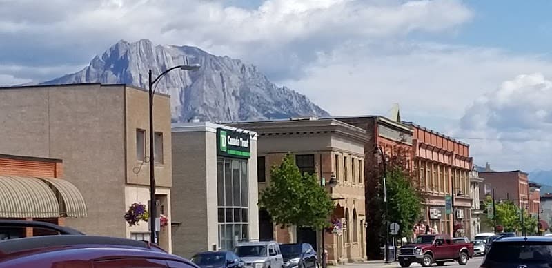 User photo of Fernie