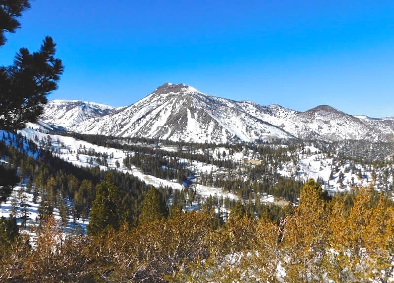 User photo of Mt Rose