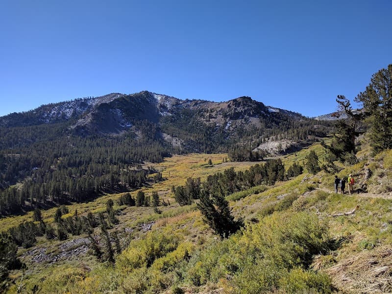 User photo of Mt Rose