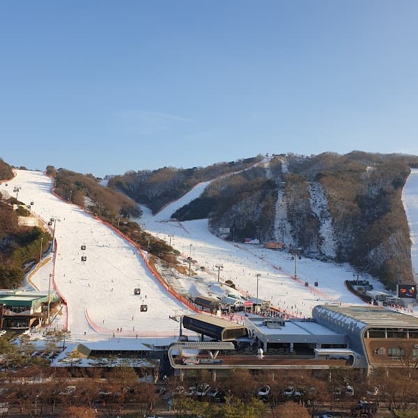 User photo of Vivaldi Park