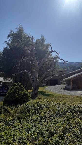 User photo of Morillon