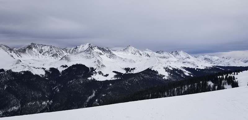 User photo of Solitude