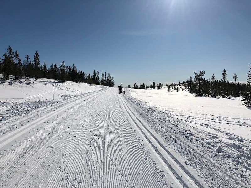 User photo of Norefjell