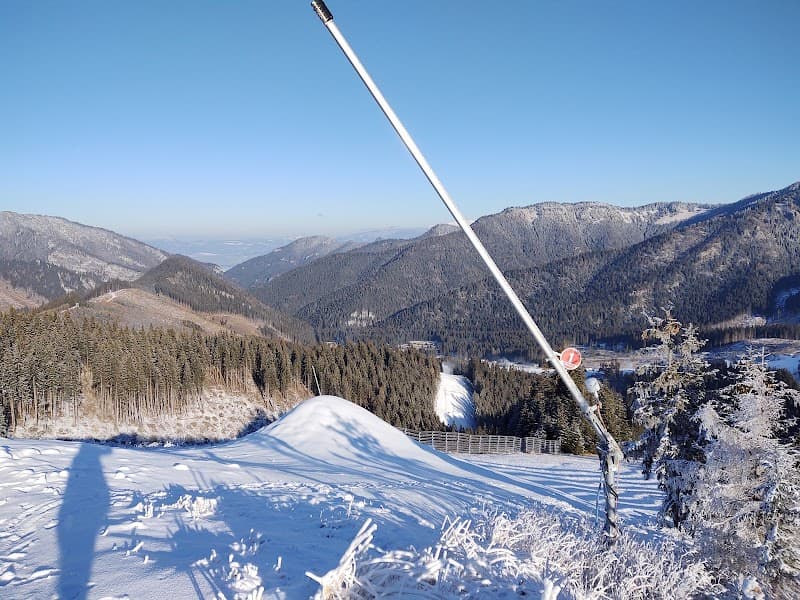 User photo of Jasná