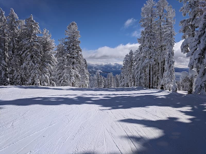 User photo of Northstar
