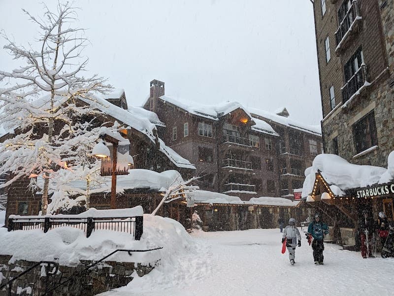User photo of Northstar