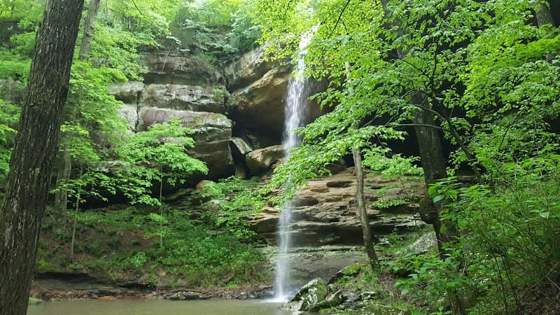 User photo of Jackson Hole