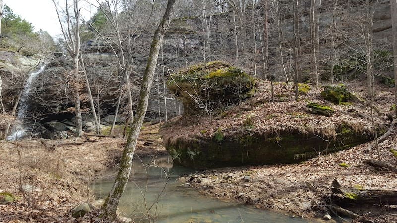 User photo of Jackson Hole