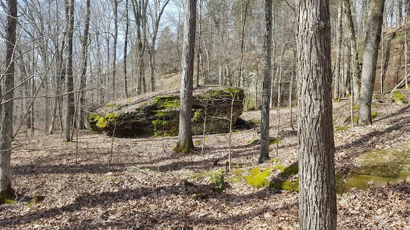 User photo of Jackson Hole