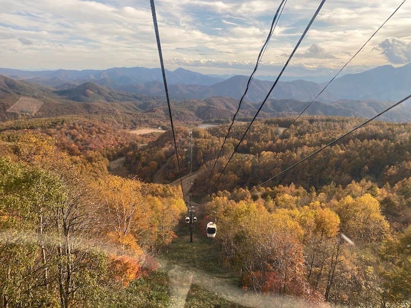 User photo of Grandeco