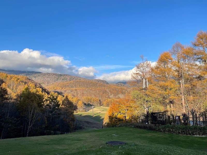 User photo of Grandeco