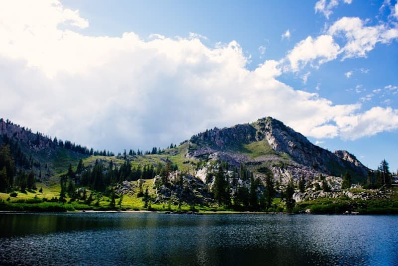 User photo of Brighton - unknown