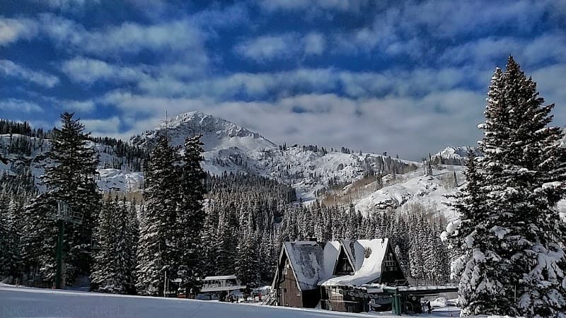 User photo of Brighton