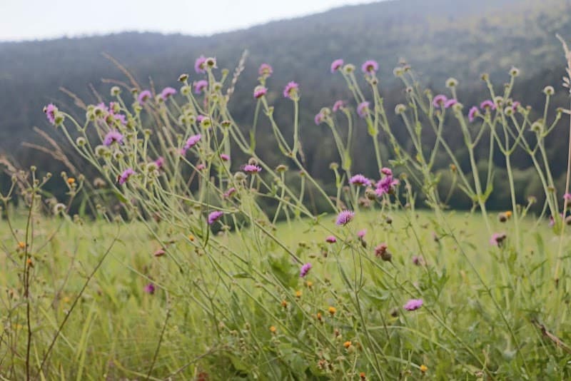 User photo of Autrans-Méaudre