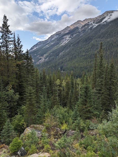 User photo of Kicking Horse