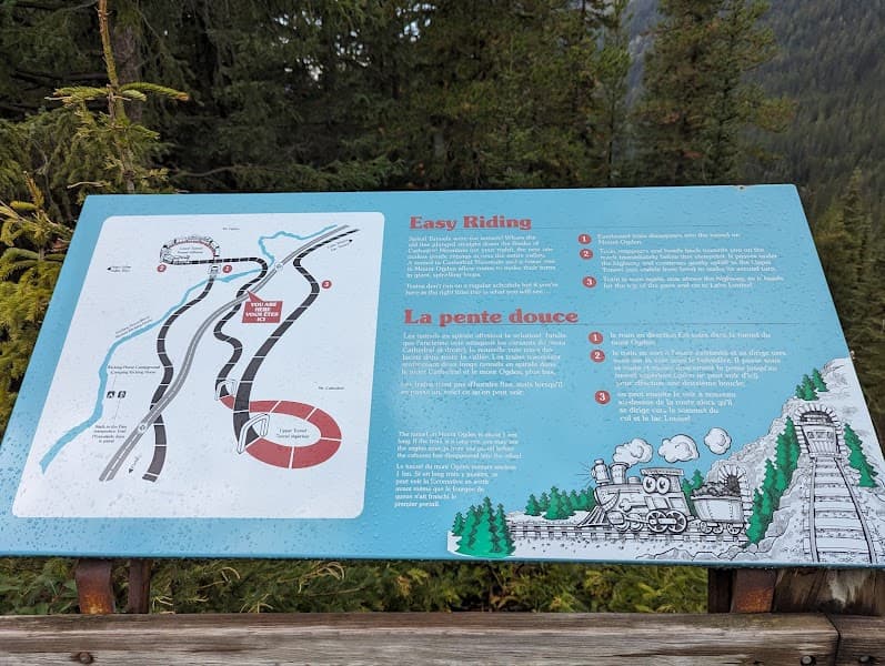 User photo of Kicking Horse