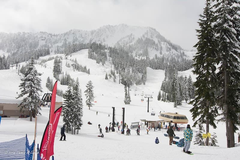 User photo of Stevens Pass