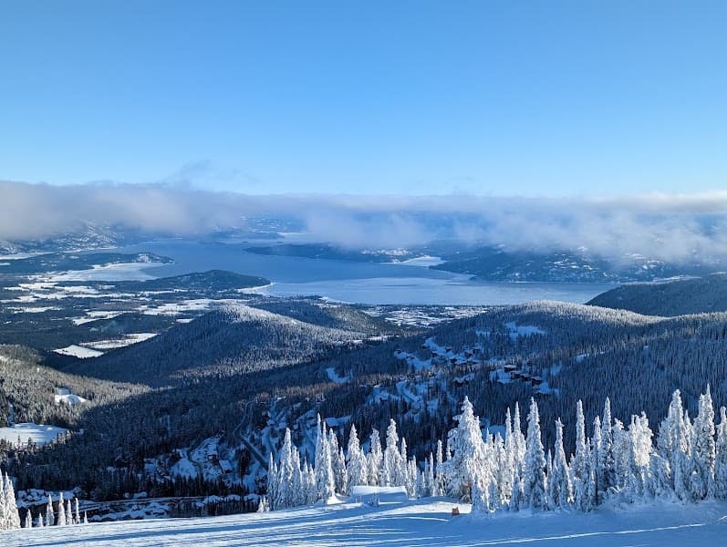 User photo of Schweitzer