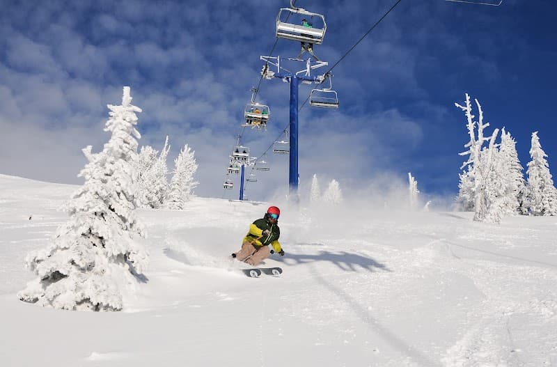 User photo of Schweitzer