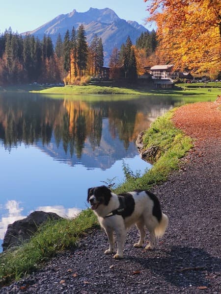 User photo of Montriond