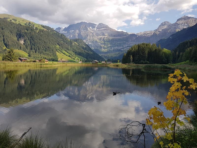 User photo of Lenk