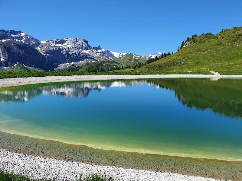 User photo of Lenk