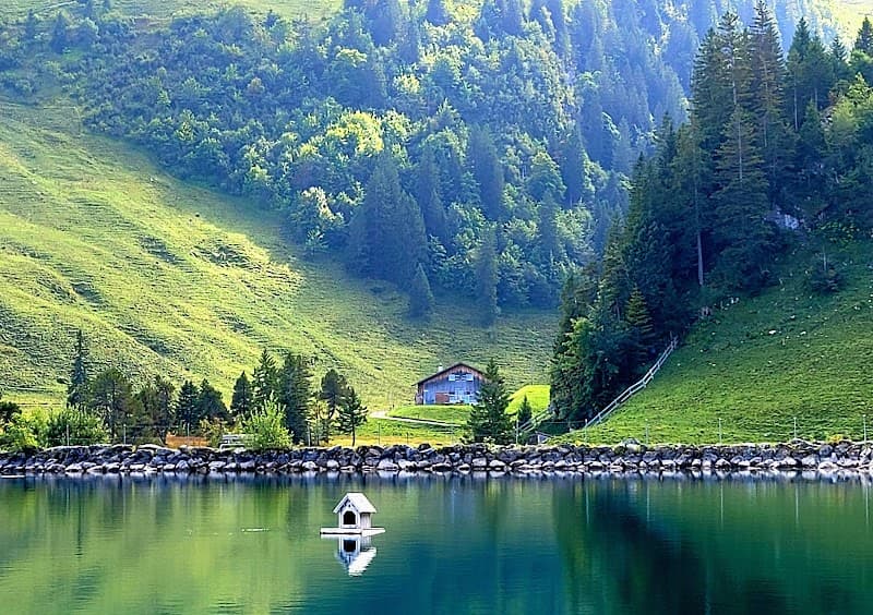 User photo of Stoos