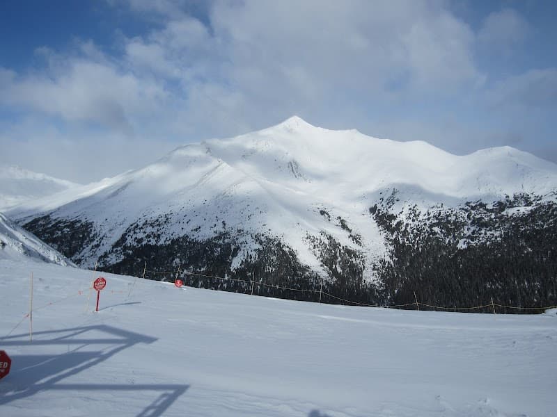 User photo of Marmot Basin