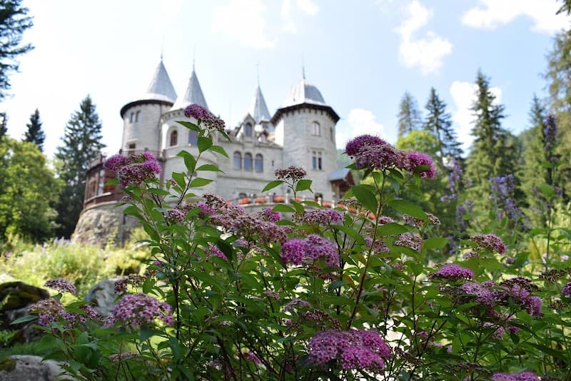 User photo of Gressoney